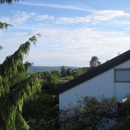 Haus Am Weinberg Apartment Erzingen Bagian luar foto