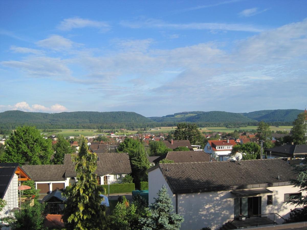 Haus Am Weinberg Apartment Erzingen Bagian luar foto