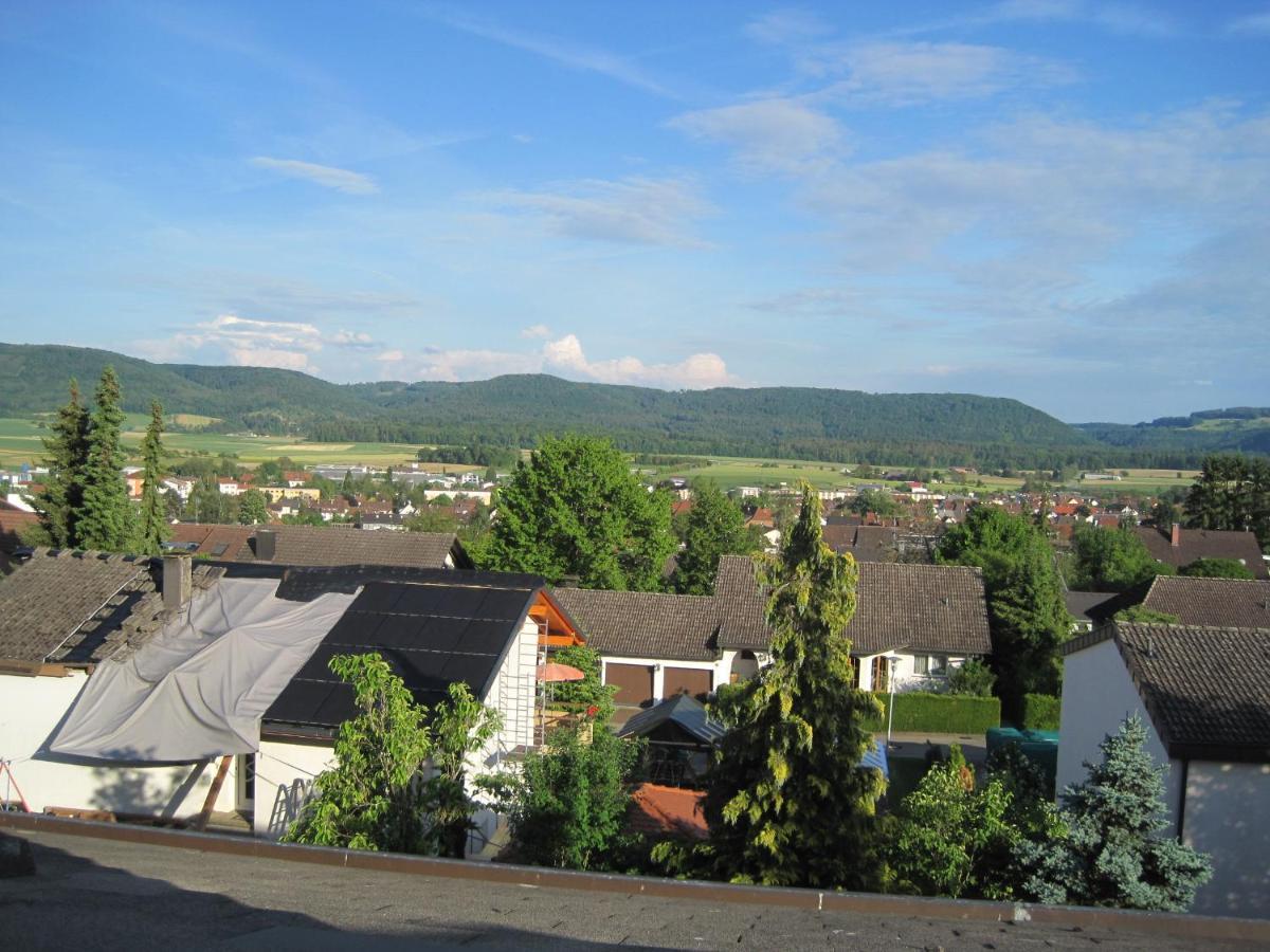Haus Am Weinberg Apartment Erzingen Bagian luar foto